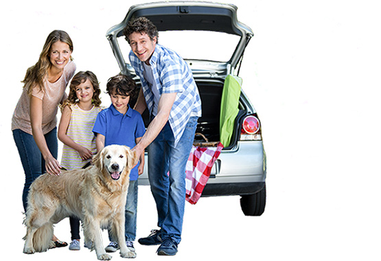 auto loan, auto, new car, refi, financing,