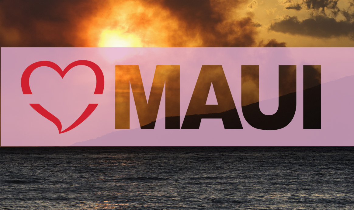 Maui disaster relief